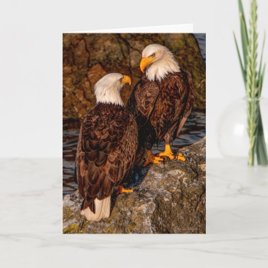 Bald Eagle Mates Hartelijk dank Bedankkaart (Voorkant)