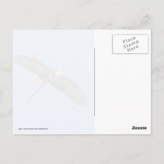 Bald Eagle met bijkantoor Briefkaart (Achterkant)