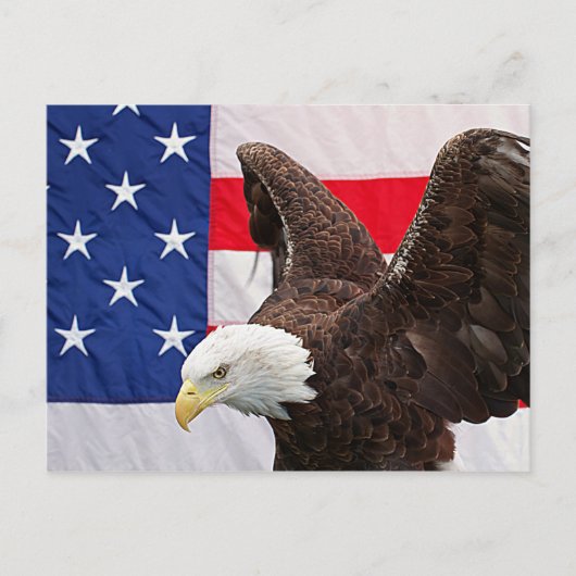 Bald Eagle met de Amerikaanse vlag Briefkaart (Voorkant)
