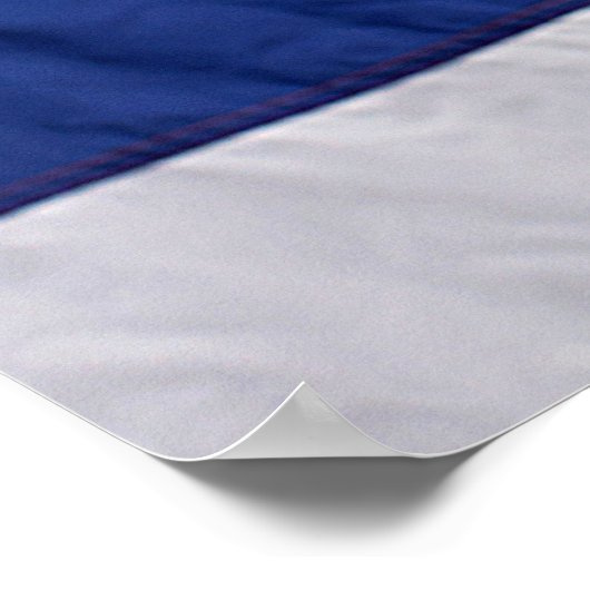 Bald Eagle met de Amerikaanse vlag Poster (Hoek)