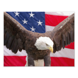 Bald Eagle met de Amerikaanse vlag Puzzle Foto Afdruk