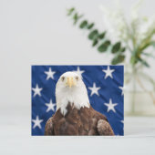 Bald Eagle met de sterren Briefkaart (Staand voorkant)