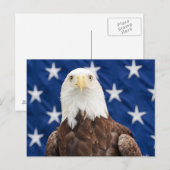 Bald Eagle met de sterren Briefkaart (Voorkant / Achterkant)