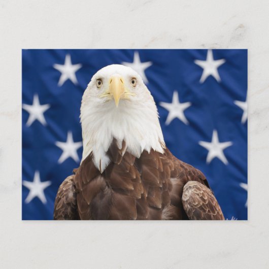 Bald Eagle met de sterren Briefkaart (Voorkant)