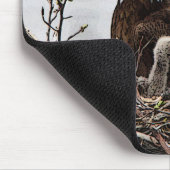 Bald Eagle met eaglets Muismat (Hoek)