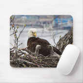 Bald Eagle met eaglets Muismat (Met muis)