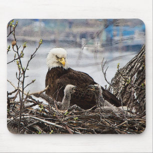 Bald Eagle met eaglets Muismat