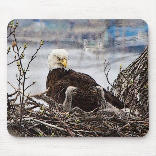 Bald Eagle met eaglets Muismat (Voorkant)