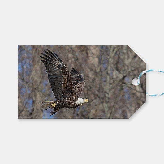 Bald Eagle met een Catfish Cadeaulabel (Voorkant (Horizontaal))