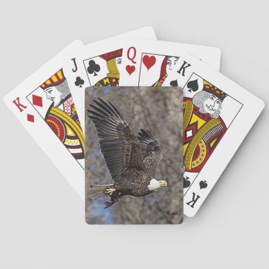 Bald Eagle met een Catfish Speelkaarten (Achterkant)