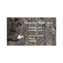 Bald Eagle met een Catfish