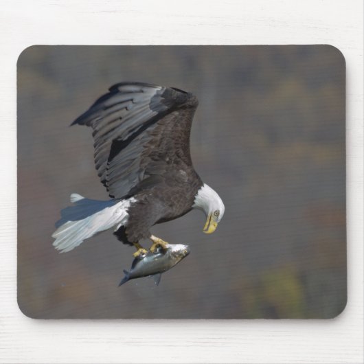 Bald Eagle met een vis Muismat (Voorkant)