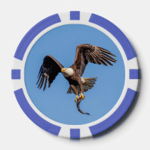 Bald Eagle met een vis