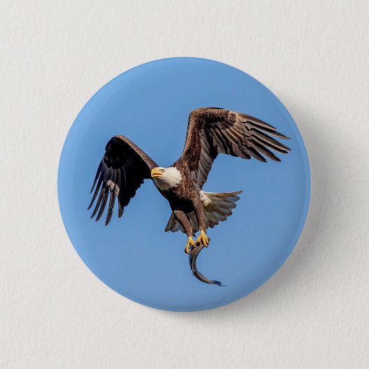 Bald Eagle met een vis Ronde Button 5,7 Cm (Voorkant)