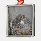 Bald Eagle met haar baby Metalen Ornament (Links)