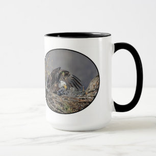 Bald Eagle met haar baby Mok
