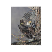 Bald Eagle met haar baby Notitieblok (Linkerzijde)