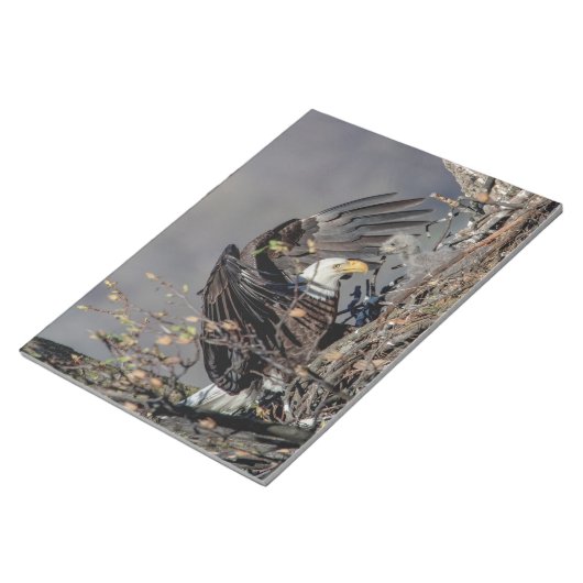 Bald Eagle met haar baby Notitieblok (Schuin)
