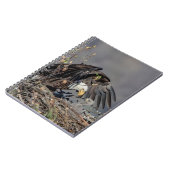 Bald Eagle met haar baby Notitieboek (Linkerzijde)