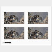 Bald Eagle met haar baby Rechthoekige Sticker (Vel)