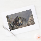 Bald Eagle met haar baby Rechthoekige Sticker (Envelop)