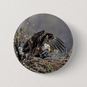 Bald Eagle met haar baby Ronde Button 5,7 Cm