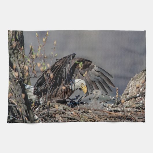 Bald Eagle met haar baby Theedoek (Horizontaal)