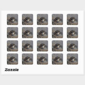 Bald Eagle met haar baby Vierkante Sticker (Vel)