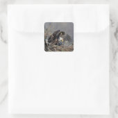 Bald Eagle met haar baby Vierkante Sticker (Tas)