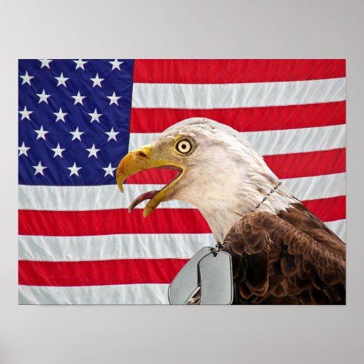 Bald Eagle met militaire hondentags Poster (Voorkant)