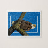 Bald Eagle met rand Legpuzzel (Horizontaal)