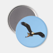 Bald Eagle met vis Magneet (Voorkant / Achterkant)