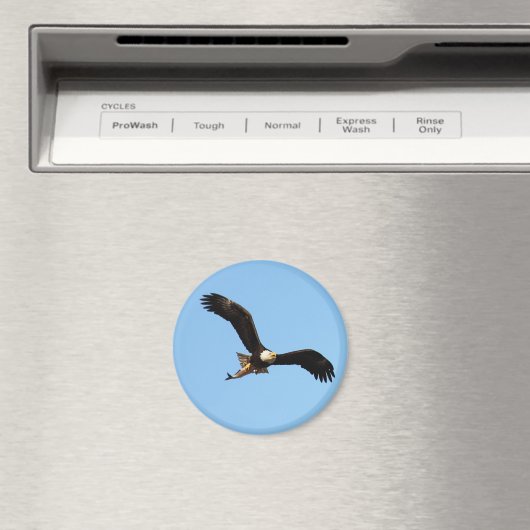 Bald Eagle met vis Magneet (Insitu (Vaatwasser))