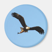 Bald Eagle met vis Magneet (Voorkant)