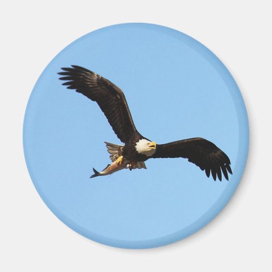 Bald Eagle met vis Magneet (Voorkant)