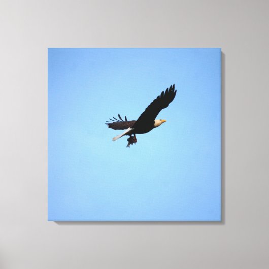 Bald Eagle met visvangst Canvas Afdruk (Voorkant)