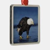Bald Eagle Metalen Ornament (Rechts)