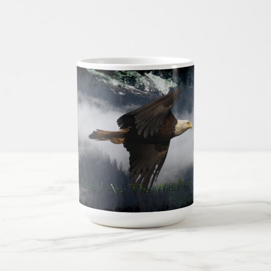 BALD EAGLE & MISTY FOREST MOK (Center)
