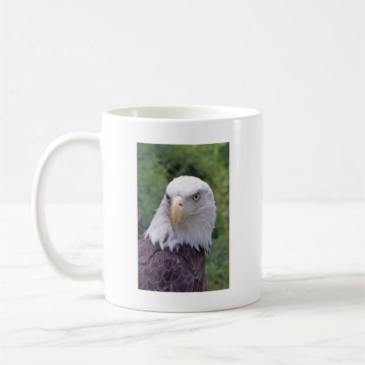 Bald Eagle mok (Links)