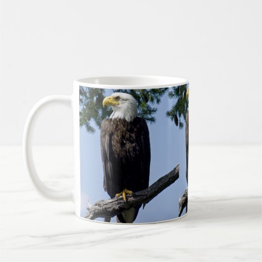 Bald Eagle Mokken (Links)