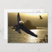 Bald Eagle Motivatie Gifts Briefkaart (Voorkant / Achterkant)