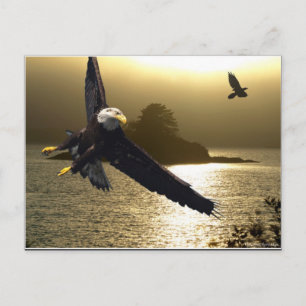 Bald Eagle Motivatie Gifts Briefkaart