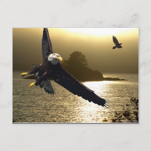 Bald Eagle Motivatie Gifts Briefkaart (Voorkant)