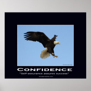 Bald Eagle Motivatie Poster
