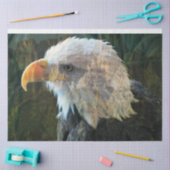 Bald Eagle Mountain Blend Tissuepapier (Craft)