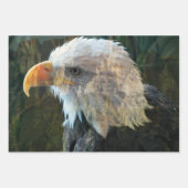 Bald Eagle Mountain Inpakpapier Vel (Voorkant 2)