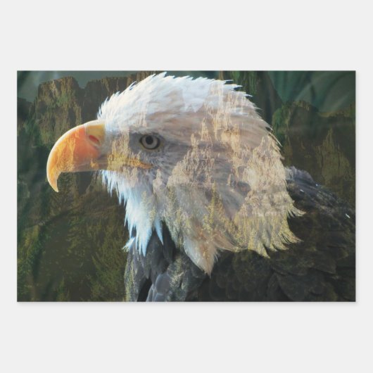 Bald Eagle Mountain Inpakpapier Vel (Voorkant 2)
