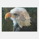Bald Eagle Mountain Inpakpapier Vel (Voorkant)