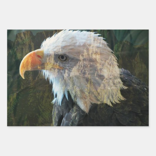Bald Eagle Mountain Inpakpapier Vel (Voorkant)