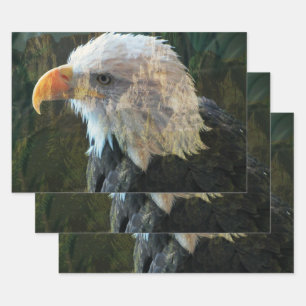 Bald Eagle Mountain Inpakpapier Vel